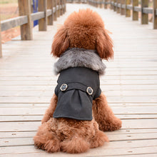 Pet Bipedal Solid Color Autumn Winter Coat