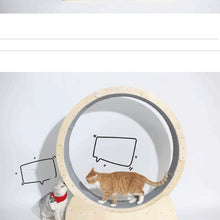 Toys For Cat Treadmill Roller