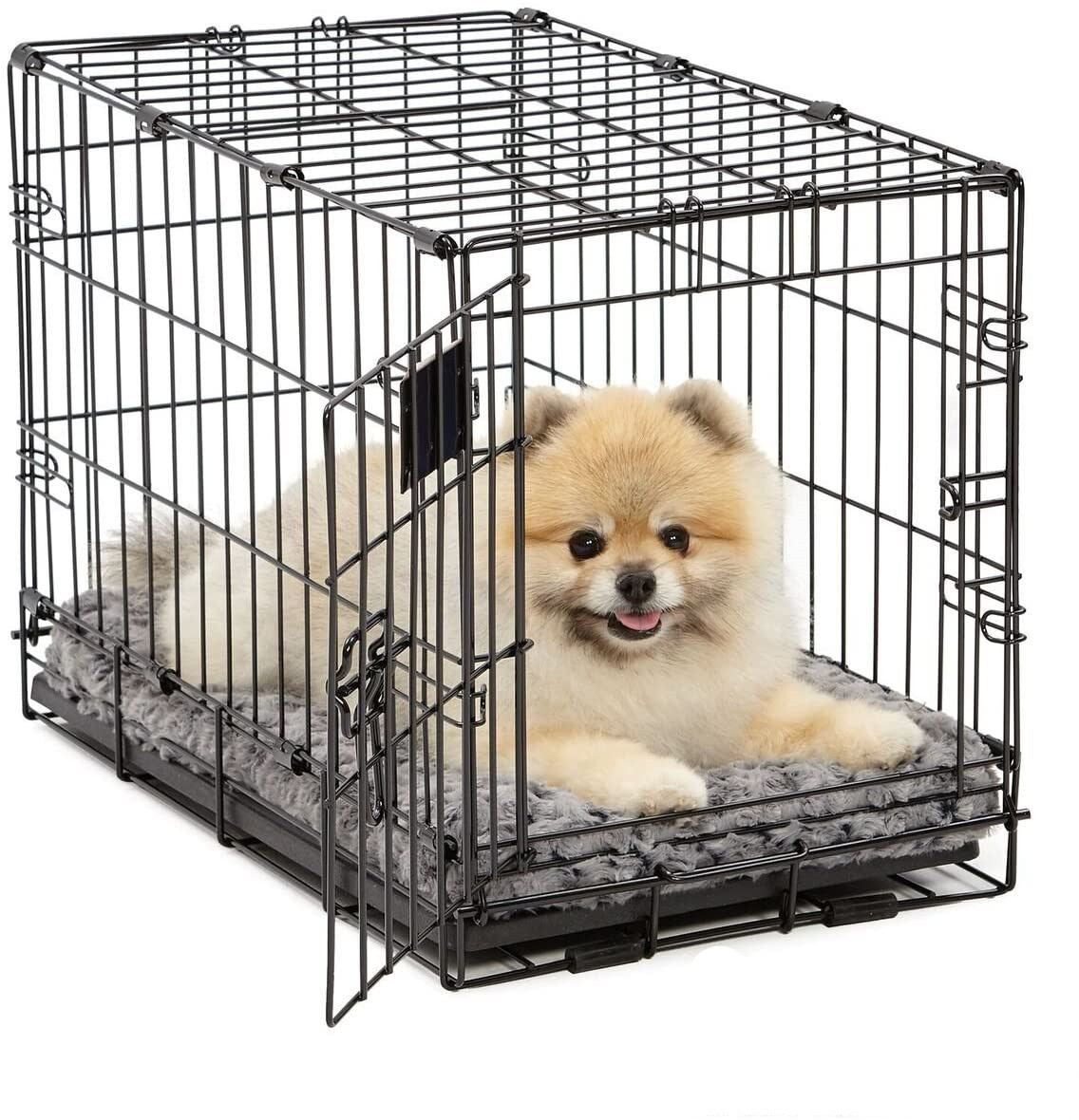 single_content_with_img